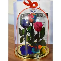 گل دیو و دلبر سه شاخه جاودان(ماندگاری 3 سال)