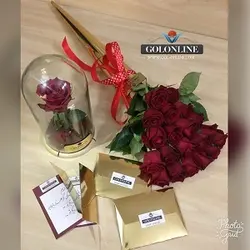 مخروط طلایی با ۳۰ شاخه رز هلندی