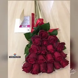 مخروط طلایی با ۳۰ شاخه رز هلندی