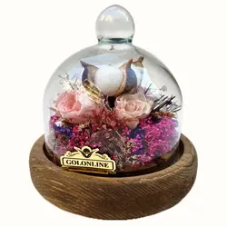 باکس جاودان رز مینیاتوری