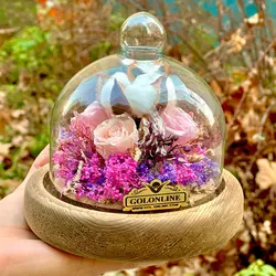 باکس جاودان رز مینیاتوری