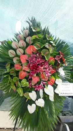 تاج افتتاحیه / عروسی یک طبقه