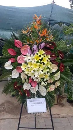 تاج افتتاحیه / عروسی یک طبقه