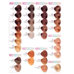 رنگ مو انجو بلوند نسکافه ای تیره شماره WN6 حجم ۱۰۰ میلی لیتر - گل انار