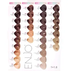 رنگ مو انجو بلوند خاکستری نقره ای شماره A10 (10.2) حجم ۱۰۰ میلی لیتر - گل انار