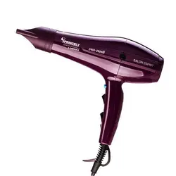 سشوار ۲۴۰۰ وات پرنسلی PR250AT حرفه ای - گل انار