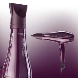 سشوار ۲۴۰۰ وات پرنسلی PR250AT حرفه ای - گل انار