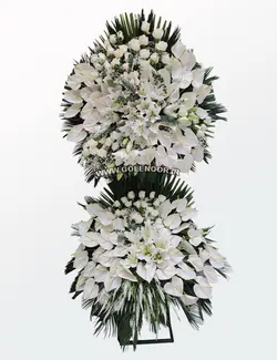 تاج گل سوپر لاکچری سفید