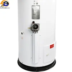 قیمت و خرید آبگرمکن گازی برفاب مدل 60-10 - فروشگاه اینترنتی لوازم خانگی گزینگ کالا