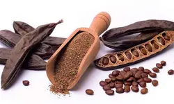 شیره خرنوپ هل کیم (درمان ناباروری – نازایی – تقویت اسپرم) 700 گرمی Hel kim