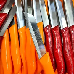 کارد میوه خوری متوسط اره ای سولینگن