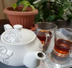 چای صاف کن داخل قوری چتری