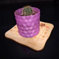 گلدان فانتزی دکوری مدل HEXA