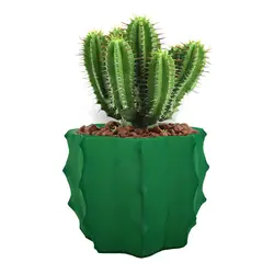 گلدان فانتزی دکوری مدل کاکتوس