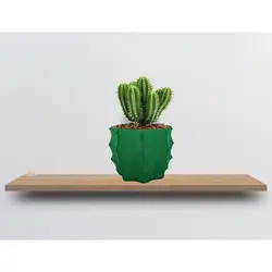 گلدان فانتزی دکوری مدل کاکتوس