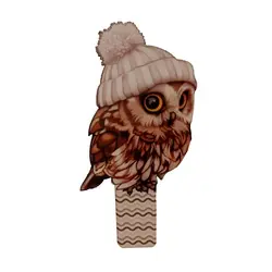 گیره عکس مگنتی طرح جغد