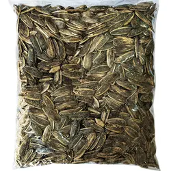 تخمه آفتابگردان اعلا شور