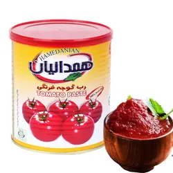 رب گوجه فرنگی کلیددار همدانیان 800 گرم