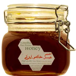 عسل ترنجبین درب چفت طلایی آیگینوبی _ 800 گرم