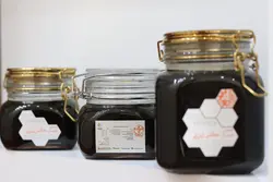 عسل زرشک درب چفت طلایی آیگینوبی _ 800 گرم
