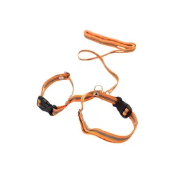 قلاده خرگوش وگربه