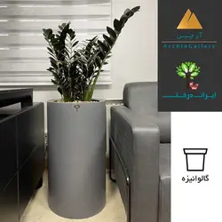 گلدان دکوراتیو زاموفیلیا سوپر بلک شماره 30 - ایران درخت