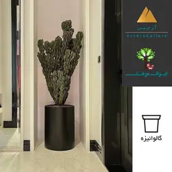 گلدان دکوراتیو کاکتوس شماره 1 - ایران درخت