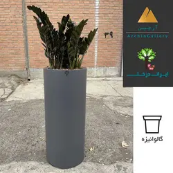 گلدان دکوراتیو زاموفیلیا سوپر بلک شماره 32 - ایران درخت