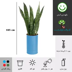 گلدان سانسوریا سبز شماره 64 - ایران درخت