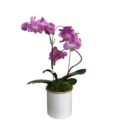 گلدان هدیه ارکیده بنفش طرح 1۱ - ایران درخت
