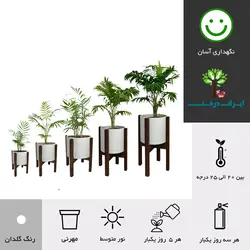 گلدان پایه دار نخل شامادورا شماره 10 (ارسال سریع امروز)