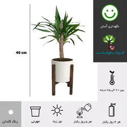 گلدان پایه دار یوکا طرح 1 - ایران درخت