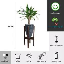 گلدان پایه دار یوکا شماره 13 (ارسال سریع امروز)