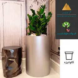 گلدان دکوراتیو زاموفیلیا شماره 24