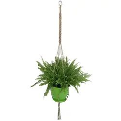 گلدان سرخس به همراه آویز مکرومه شماره 7 - ایران درخت