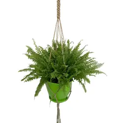 گلدان سرخس به همراه آویز مکرومه شماره 7 - ایران درخت