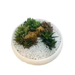 دیش گاردن کاکتوس و ساکولنت مدل 3 ( ارسال از 1 روز کاری آینده) - ایران درخت