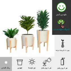 گلدان پایه دار دراسنا کامپکت شماره 9 (ارسال سریع امروز)