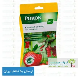 کود مخصوص گیاهان بوته ای پوکون هلند - 100 گرمی POKON - ایران درخت نمایندگی فروش