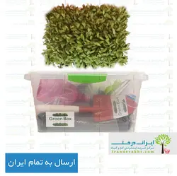 پک کاشت خانگی سبزیجات گرین باکس - سایز متوسط - ایران درخت