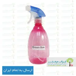 پک کاشت خانگی سبزیجات گرین باکس - سایز متوسط - ایران درخت