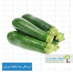بذر کدو خورشتی - ایران درخت