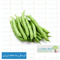 بذر لوبیا سبز - ایران درخت