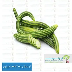 بذر خیار چنبر - ایران درخت