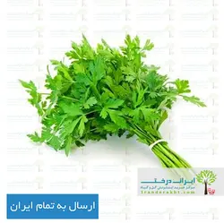 بذر جعفری - ایران درخت