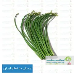 بذر تره شادگانی - ایران درخت