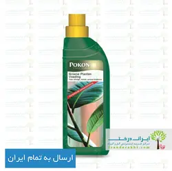 خرید کود مخصوص گیاهان سبز برگ پوکون هلند - 500 میلی لیتر - pokon - ایران درخت