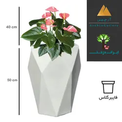 گلدان دکوراتیو آنتوریوم شماره 29 (ارسال سریع امروز)