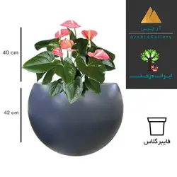گلدان دکوراتیو آنتوریوم شماره 25 (ارسال سریع امروز)