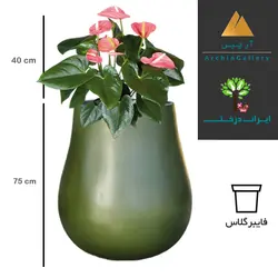 گلدان دکوراتیو آنتوریوم شماره 26 (ارسال سریع امروز)